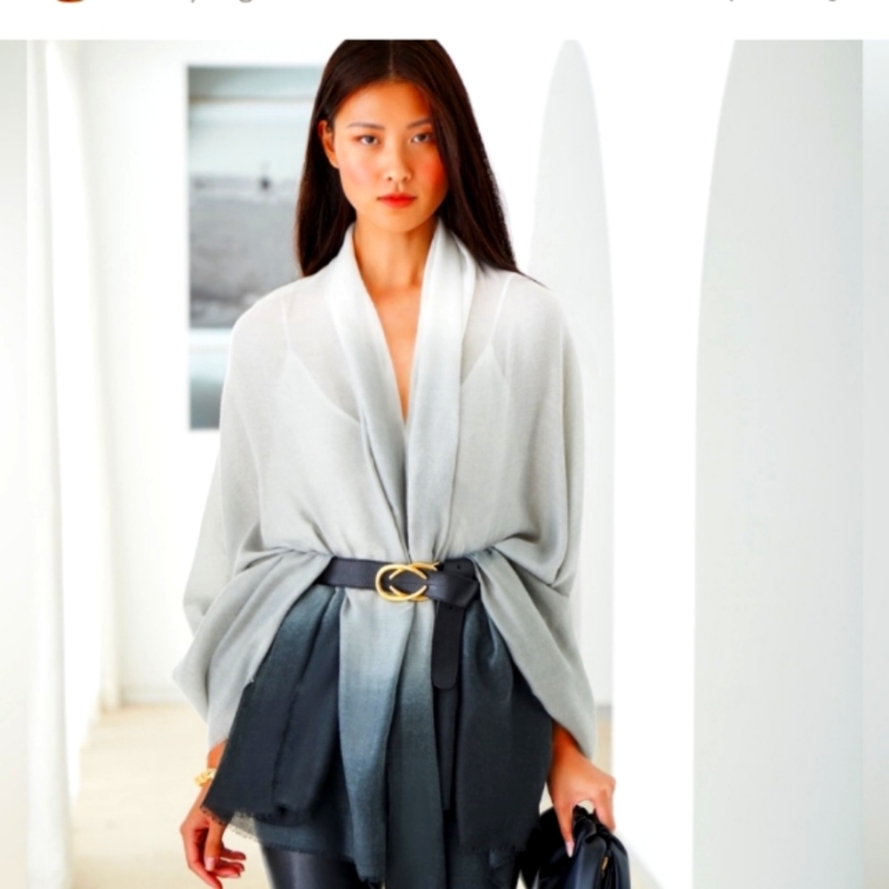 Carly Cushnie Scarf NWT Ombre Print